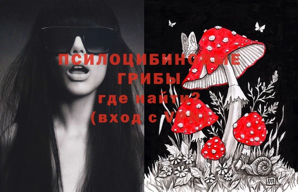 Альфа ПВП Арсеньев