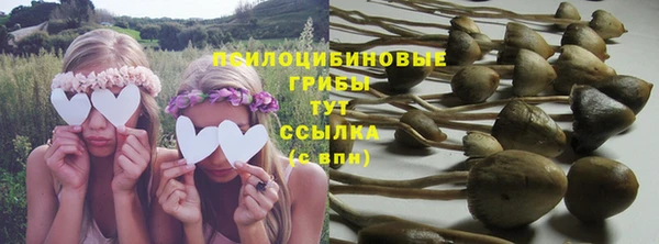 тгк Ессентукская