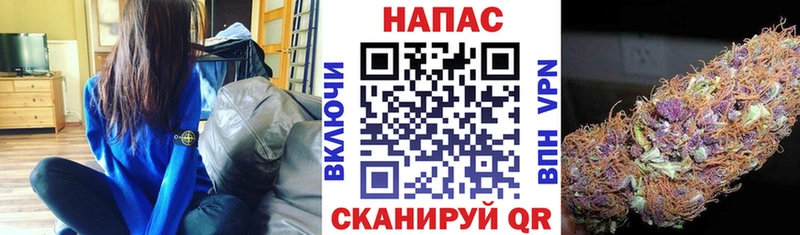 Марихуана MAZAR мега ссылка Балашов цена наркотик